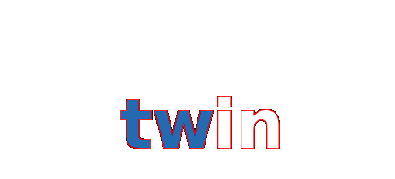 twin
