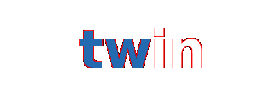 twin